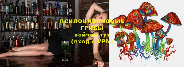 соль ск Верхний Тагил