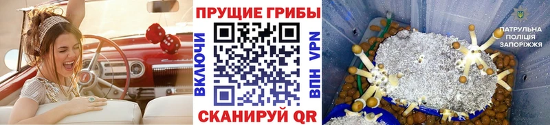 Галлюциногенные грибы GOLDEN TEACHER  купить наркоту  Уссурийск 